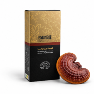 قهوه موکا گانودرما دکتر بیز 20 عددی با طعم شکلاتی